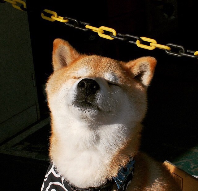 KAIYUN 中国大陆-_科技助力运动康复：运动损伤修复新突破_，关于运动损伤康复训练软件